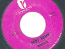 KILLER GARAGE SONICS SHOT DOWN / DON'T BE AFRAID OF THE