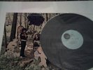 Little Boy Blues In the Woodland of Weir 1968 vinyl LP