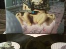 Super Furry Animals - Guerrilla 2X 12