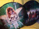 WITHIN TEMPTATION   Picture Vinyl Album