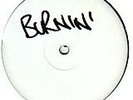 Coki Burnin' - Richie Spice Dubstep. Rare white label