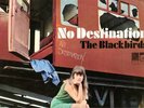 THE BLACKBIRDS,NO DESTINATION.RARE 60's PSYCH VINYL LP