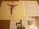 NIRVANA 