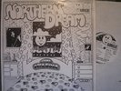 BILL NELSON NORTHERN DREAM SMILE LAF 2182 PROG PUNK LP