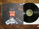 GORILLA CREATIVE ROCK