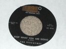 THE VISCAYNES & THE RAMBLERS doo wop 45 TROPO listen