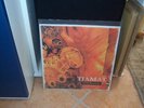 TIAMAT - Wildhoney Lp ORIGINAL RARE gothic metal