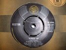 HECTOR..Wired Up/Aint got time.DJM.DJS289.1973.45..EX+.