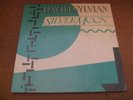 David Sylvian - Japan Silver Moon 1 sided French Promo