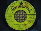 THE DEMURES Raining Teardrops RARE NORTHERN SOUL 45 mp3