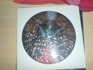 dismember - like an everflowing stream PIC-LP