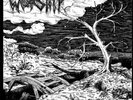 WORSHIP Last Vinyl Before Doomsday LP LIM 666