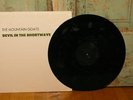 The Mountain Goats Devil In the Shortwave 12