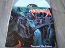 BENEDICTION-Transcend The Rubicon    white version LP
