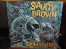 SAVOY BROWN SEALED LP LOOKING IN ORIG 1970 PARROT ALBUM