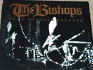 BISHOPS Bitchin Diocese LP PRIVATE MN ROCK AUDIOPHILE