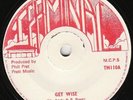 Horace Andy - Get Wise - AWESOME ???