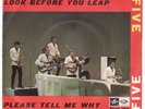 THE DAVE CLARK FIVE : LOOK BEFORE YOU LEAP / PLEASE