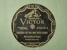 Blind Alfred Reed: Victor 20836, Wreck of the Virginian