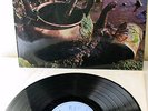 Presenting Country Blues Roosevelt Holts Blue Horizon