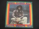 Errol Flabba Holt - Roots Radics Dub LP