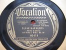 Bumble Bee Slim Hobo Jungle + Slave Man Blues Voc03418