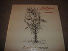 MICK STEVENS,LADY SUNRISE,BRITISH FOLK PSYCH,SHADOKS