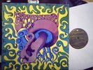 Sacred Mushroom  /  same
