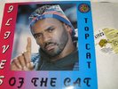 TOP CAT - NINE LIVES OF THE CAT - FASHION LP - TUFF DJ