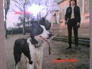 V.RARE ROCK LP: ANDY ROBERTS: HOME GROWN: RCA Original