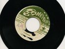 Roots Man Skank - True Persuaders