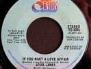 JESSE JAMES If You Want A Love Affair MODERN SOUL 45