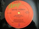 * DAVID JOSEPH You Can't Hide LARRY LEVAN DISCO 12 Hear