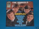 7-Single-Beat-Rock-THE ANIMALS-Dimples-Rar 