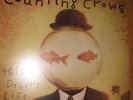 COUNTING CROWS 