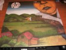 THE BATS the law of things LP FLYING NUN KIWI nice