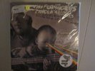 Flaming Lips Record Store Day Dark Side of the Moon