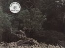 JIMI HENDRIX-2-LP- ALTERNATE ELECTRIC LADYLAND- RED