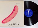 THE VELVET UNDERGROUND & NICO 1967 ANDY WARHOL PSYCH LP