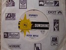 Peter Doyle/Garage Beat/R&B Stupidity Oz/Sunshine 1966.