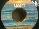 THE SISTERS LOVE - GIVE ME YOUR LOVE - FEMALE FUNK