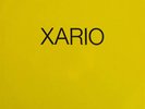 Italo Disco Xario 