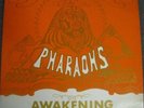 DISCO FUNK: The Pharaohs - Awakening