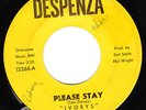 Northern Soul 45 IVORYS Please Stay on Despenza