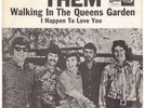 THEM Walking In The Queens Garden MOD garage rock PSYCH