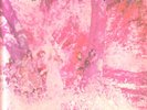 1969 G.T.O.'s LP-PERMANENT DAMAGE on STRAIGHT - ZAPPA