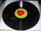 ORTHODOX/TO HAVE A HOME - VISIONAIRES *LP