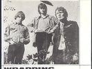 Cream 1966 SWE PS Wrapping Paper *MINT*