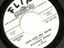 NORTHERN SOUL 45 RICHARD BERRY HAVE LOVE FLIP promo mp3