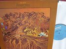 FEVER TREE For sale LP USA 1970 Ampex Acid Psych NM / M